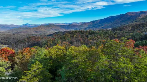 Bear Den Rd, Townsend, TN 37882 photo 10