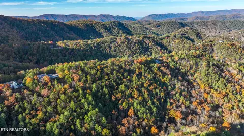 Bear Den Rd, Townsend, TN 37882 photo 18