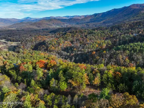 Bear Den Rd, Townsend, TN 37882 photo 11