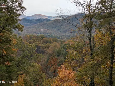 Bear Den Rd, Townsend, TN 37882 photo 6