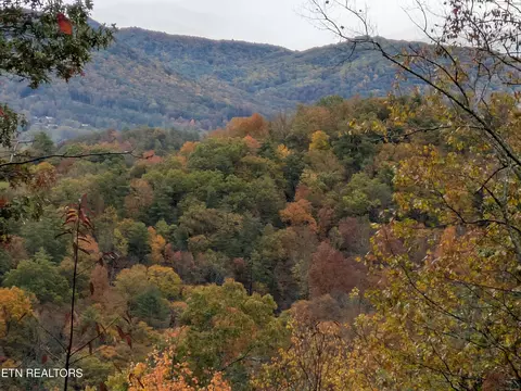Bear Den Rd, Townsend, TN 37882 photo 4