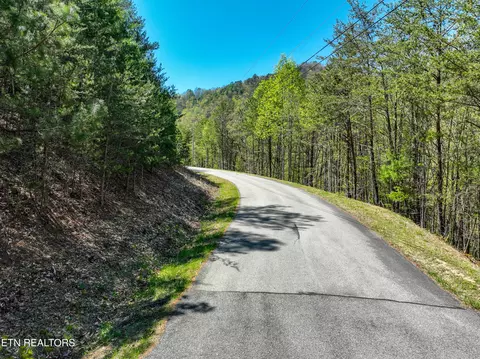 Bear Den Rd, Townsend, TN 37882 photo 8