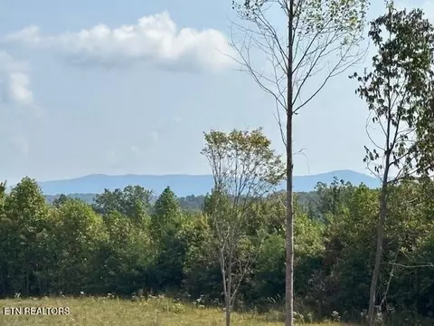 Otis Davis Rd, Pikeville, TN 37367