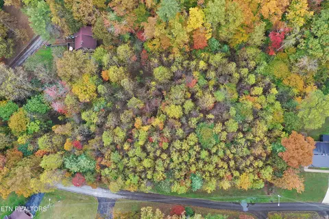 Hilltop Drive, Oneida, TN 37841