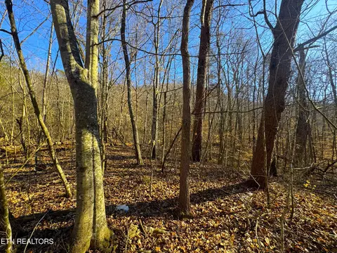 8 30 Acres Wolfenbarger Ln, Luttrell, TN 37779 photo 4