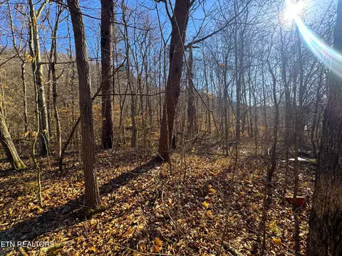 8 30 Acres Wolfenbarger Ln, Luttrell, TN 37779 photo 3