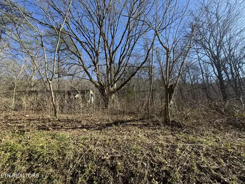 8 30 Acres Wolfenbarger Ln, Luttrell, TN 37779 photo 2