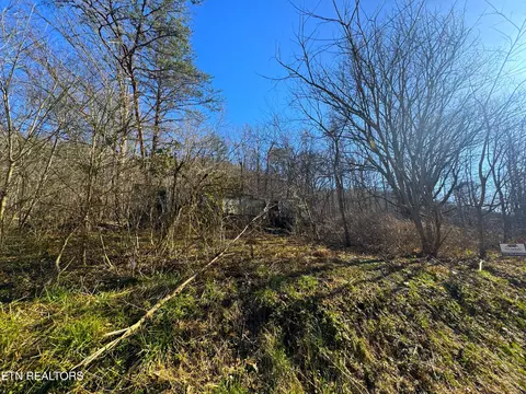 8 30 Acres Wolfenbarger Ln, Luttrell, TN 37779