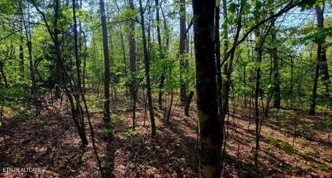 Laurel Loop, Monterey, TN 38574 photo 2