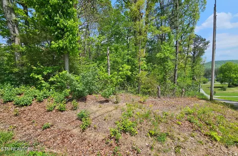 Sutherland Drive, Helenwood, TN 37755