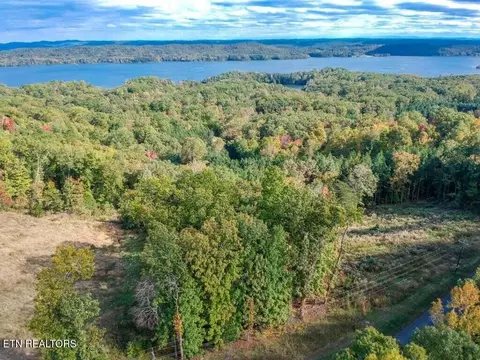 lot272 Spruce Dr, Spring City, TN 37381