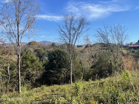 Mountain Ridge, Newport, TN 37821
