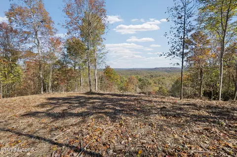 Sheep Ranch Rd, Robbins, TN 37852