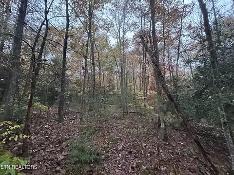 Graveyard Rd E/o Rd, Jamestown, TN 38556
