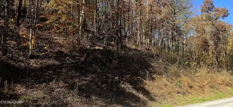 Emerald Springs Loop, Sevierville, TN 37862