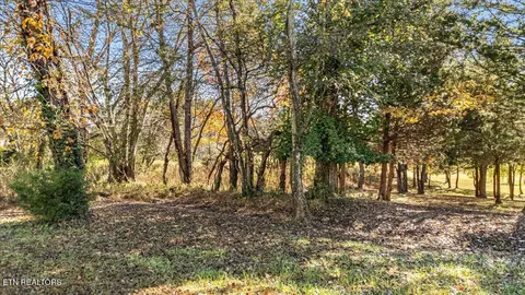 176 Dudi Tr, Vonore, TN 37885