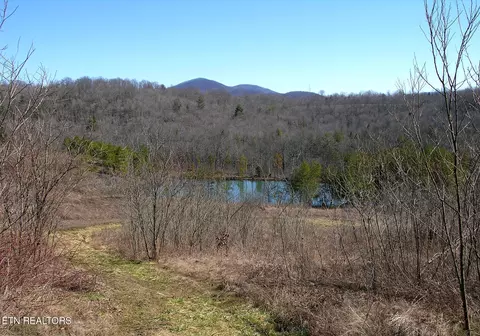 249 Arthur Mccormick Rd, Lancing, TN 37770