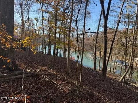 Deer Run Place, La Follette, TN 37766