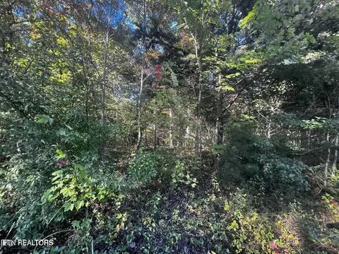 Falling Leaf Rd, Jamestown, TN 38556