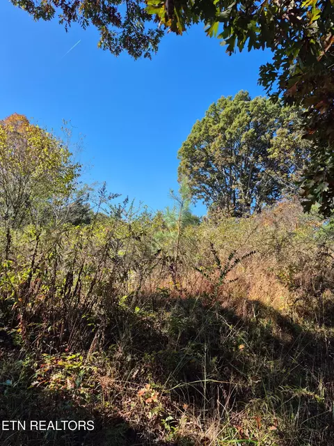 129 County Road 299, Sweetwater, TN 37874