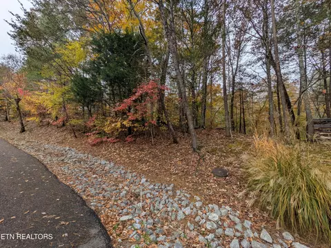 517 Clearwater Cir, Townsend, TN 37882