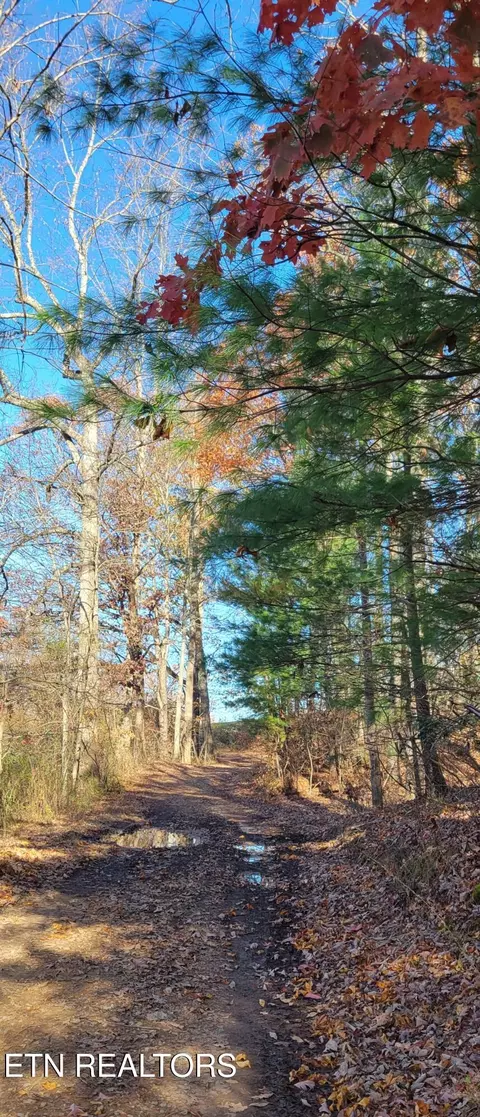 Kidd Mill Rd, Oneida, TN 37841 photo 16