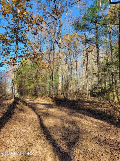 Kidd Mill Rd, Oneida, TN 37841 photo 15