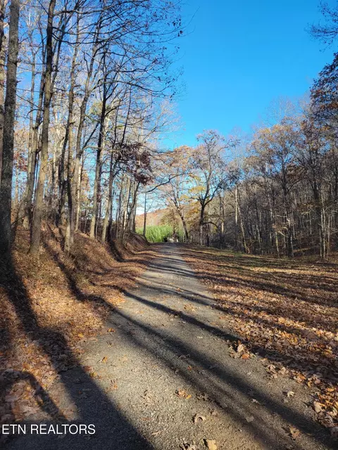 Kidd Mill Rd, Oneida, TN 37841 photo 9