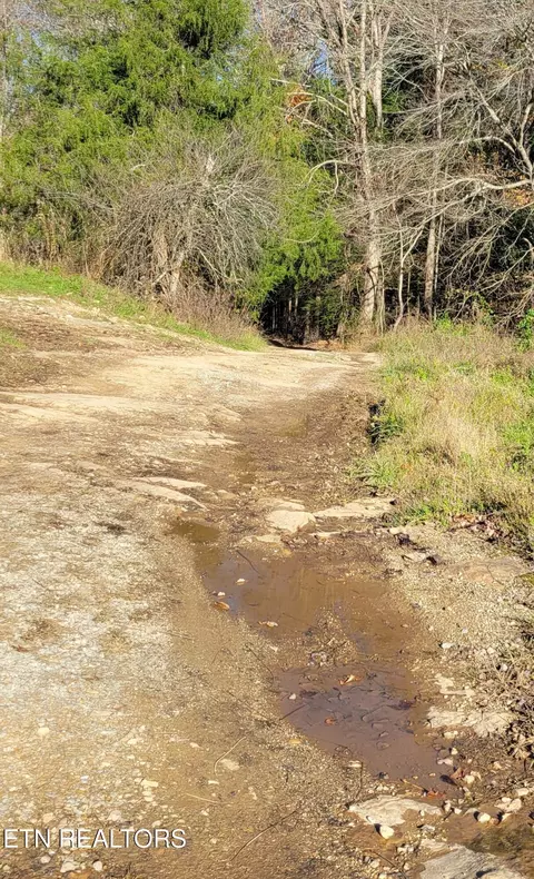 Kidd Mill Rd, Oneida, TN 37841 photo 11