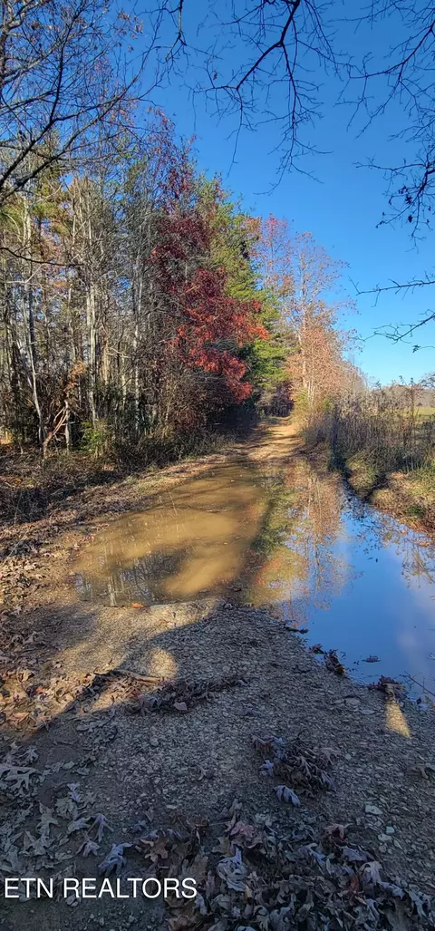 Kidd Mill Rd, Oneida, TN 37841 photo 20