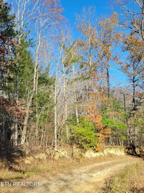 Kidd Mill Rd, Oneida, TN 37841 photo 4