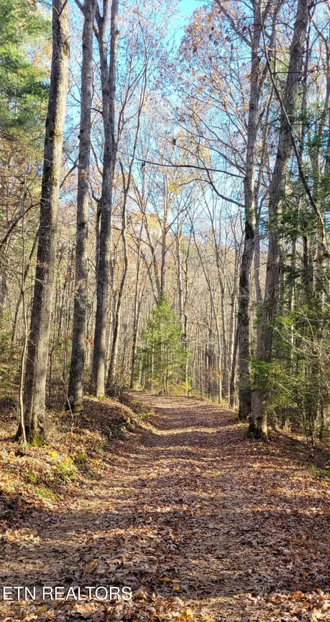 Kidd Mill Rd, Oneida, TN 37841 photo 14