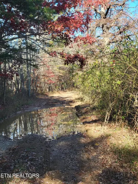 Kidd Mill Rd, Oneida, TN 37841 photo 21