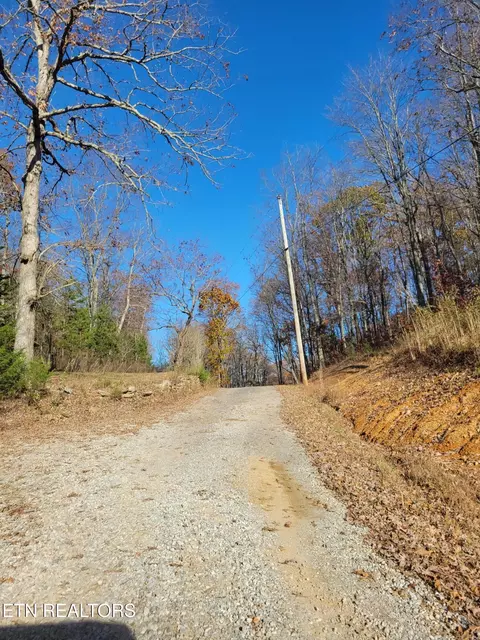 Kidd Mill Rd, Oneida, TN 37841 photo 8
