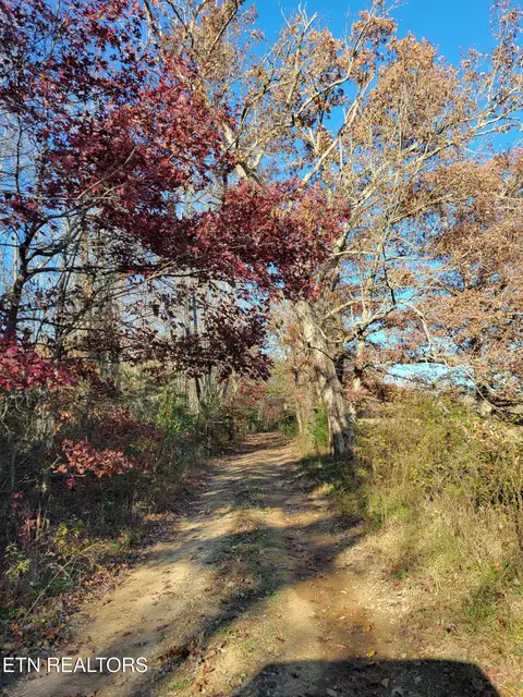 Kidd Mill Rd, Oneida, TN 37841 photo 19