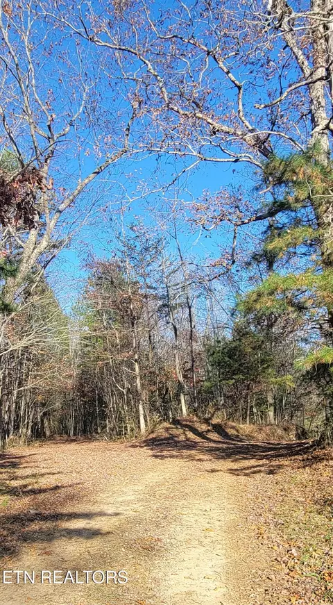 Kidd Mill Rd, Oneida, TN 37841