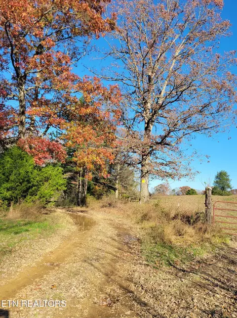 Kidd Mill Rd, Oneida, TN 37841 photo 17