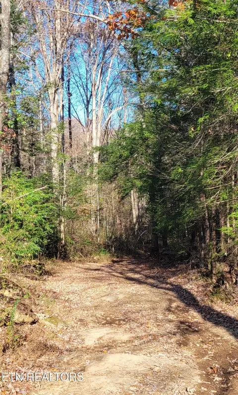 Kidd Mill Rd, Oneida, TN 37841 photo 12