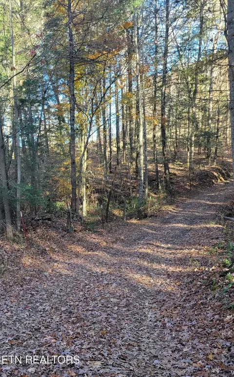 Kidd Mill Rd, Oneida, TN 37841 photo 13