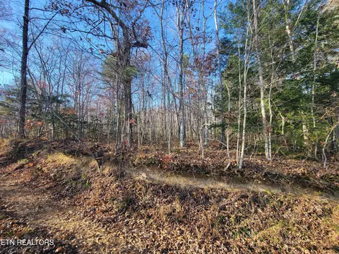 Kidd Mill Rd, Oneida, TN 37841 photo 2