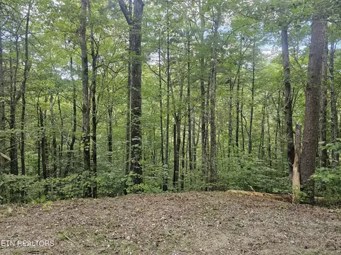 231 Low Gap Tr, Townsend, TN 37882