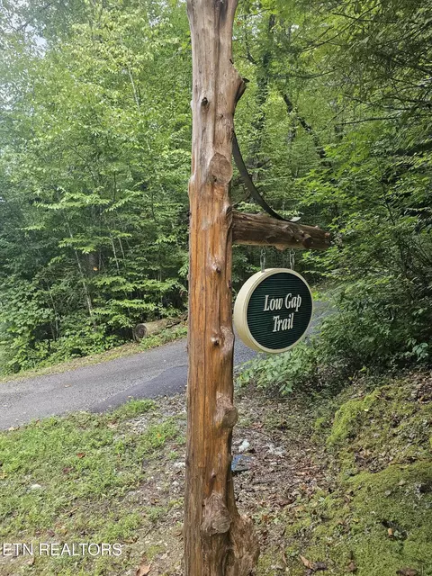 231 Low Gap Tr, Townsend, TN 37882