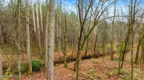 11915 E Watkins Rd, Loudon, TN 37774