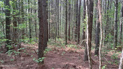 lot14 Airport Rd, Rockwood, TN 37854