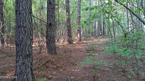 lot21 Airport Rd, Rockwood, TN 37854