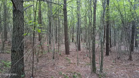 lot22 Airport Rd, Rockwood, TN 37854