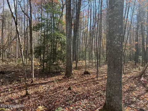 523 Honey Creek Loop Rd, Allardt, TN 38504