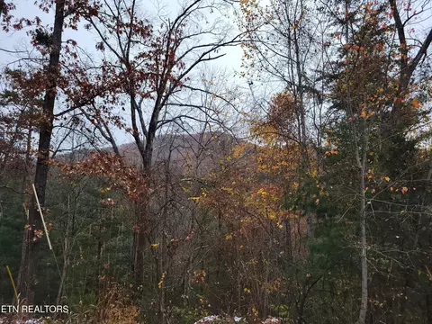lot21 Hickory Tree St, Sevierville, TN 37876