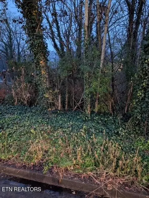 950 Cumberland St, Harriman, TN 37748