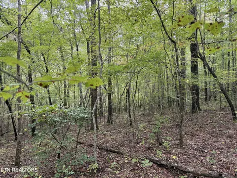 Laurel Way, Monterey, TN 38574